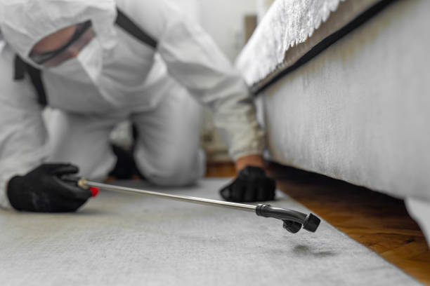 Professional Bed Bug Control technician working in Gosport, IN